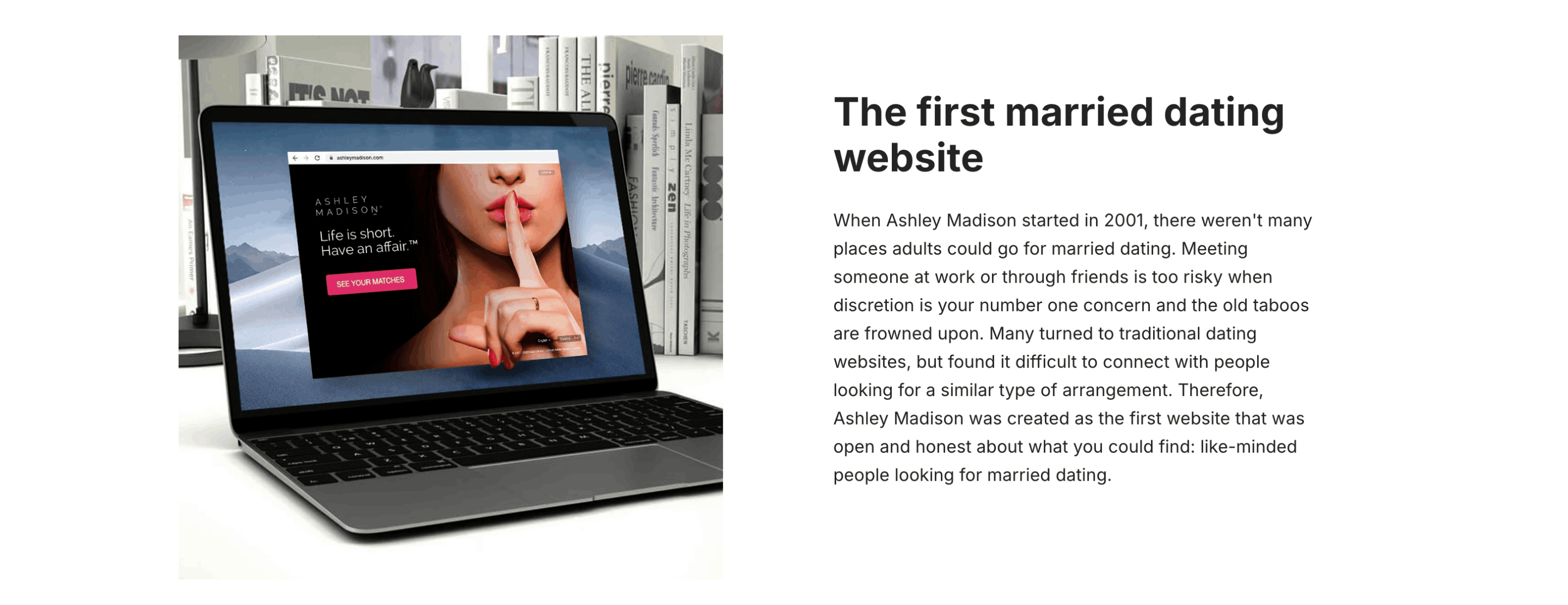 ashley madison login